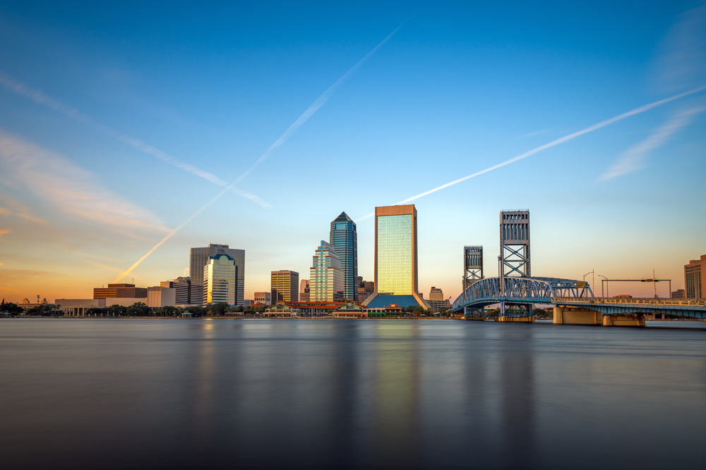 Jacksonville Animal Health Recruiters: The VET Recruiter