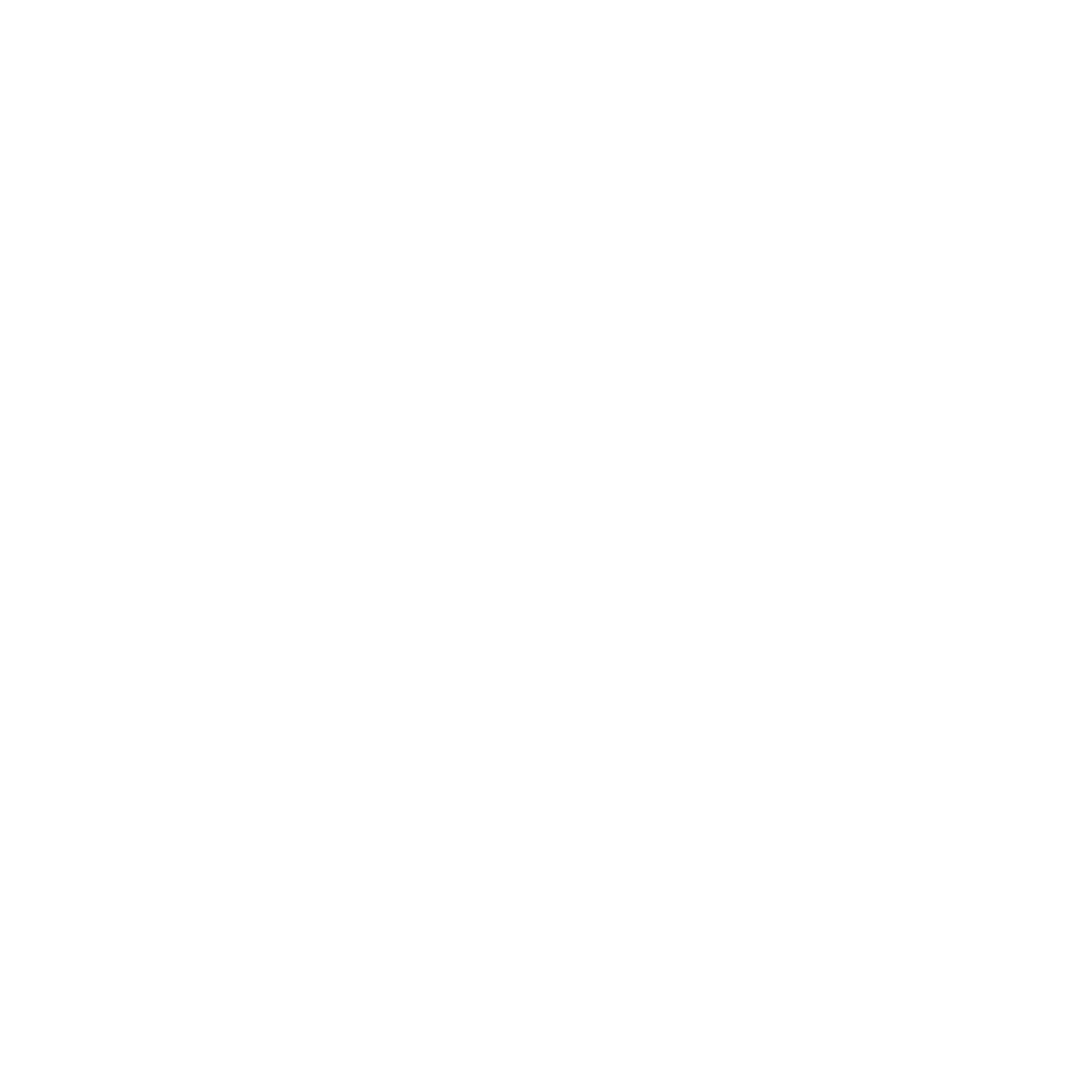 Leadership & Workforce Strategy