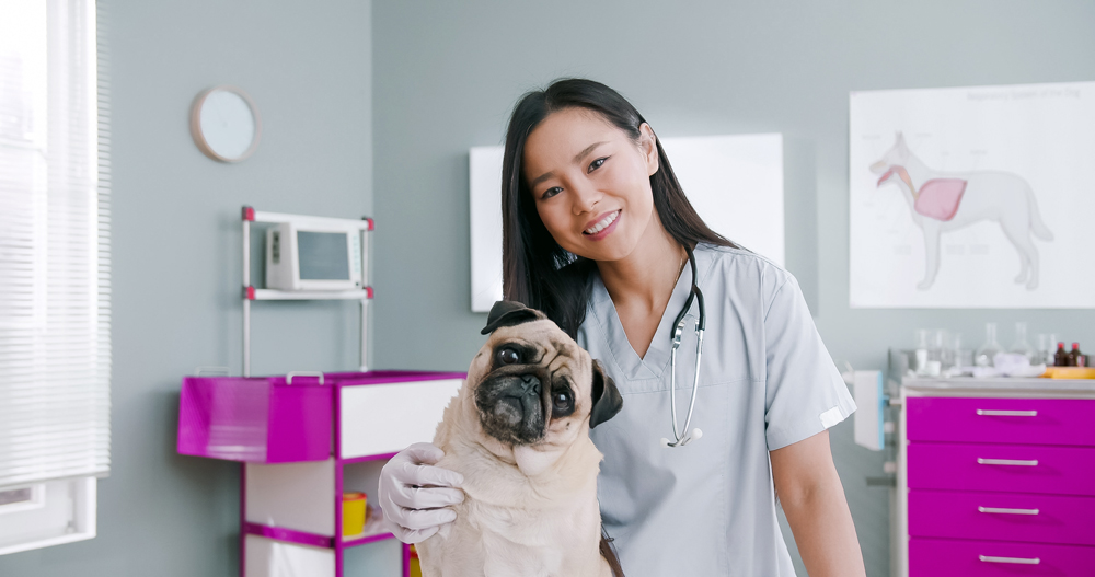 Why Local and National Reach Matter on The VET Recruiter Website