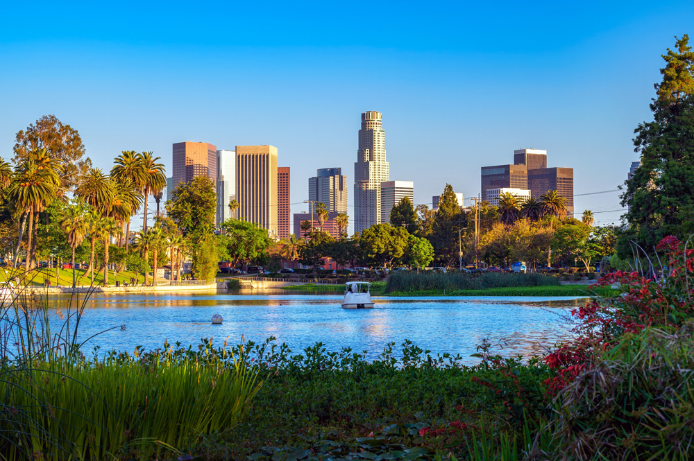 Los Angeles Animal Health Recruiters: The VET Recruiter