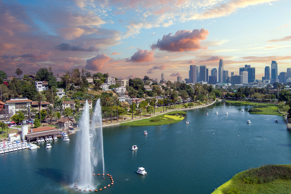 Los Angeles Veterinary Recruiters: The VET Recruiter Search Firm