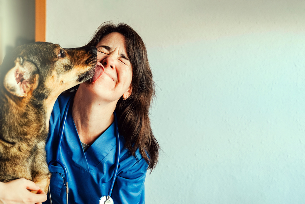 How The VET Recruiter Website Helps Professionals Build Meaningful Careers