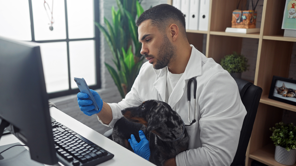 How Recruiters Can Help You Find Mobile Veterinarian Positions