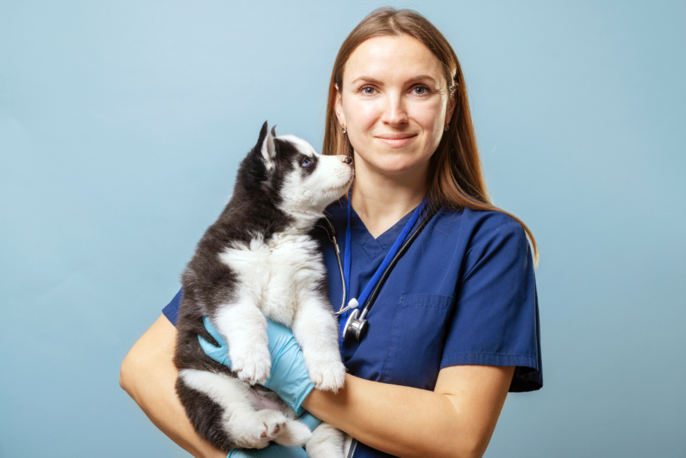How The VET Recruiter Website Connects Local and National Opportunities