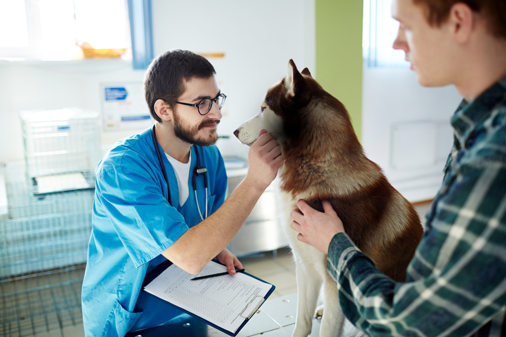 National Veterinary Recruiters: The VET Recruiter Executive Search Firm