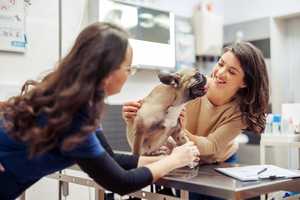 National Veterinary Recruiting: The VET Recruiter Search Firm