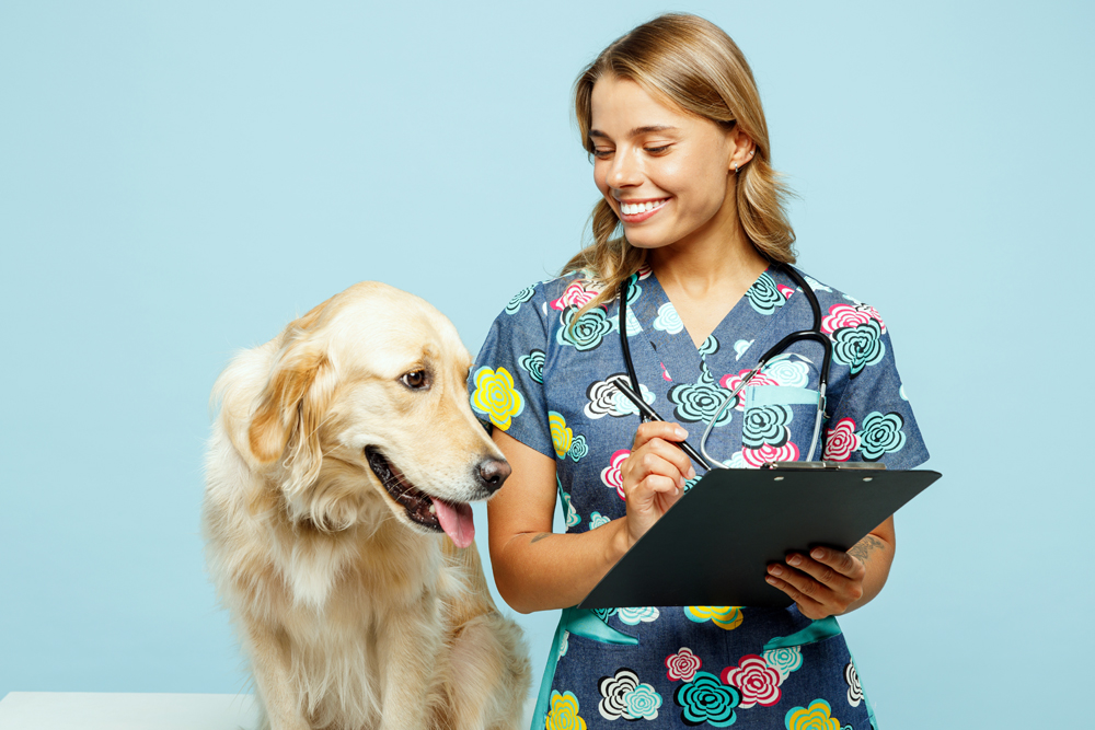 Find New Jobs and Exciting Career Opportunities More Quickly with The VET Recruiter Website