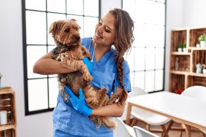 New Veterinarian Job 2024