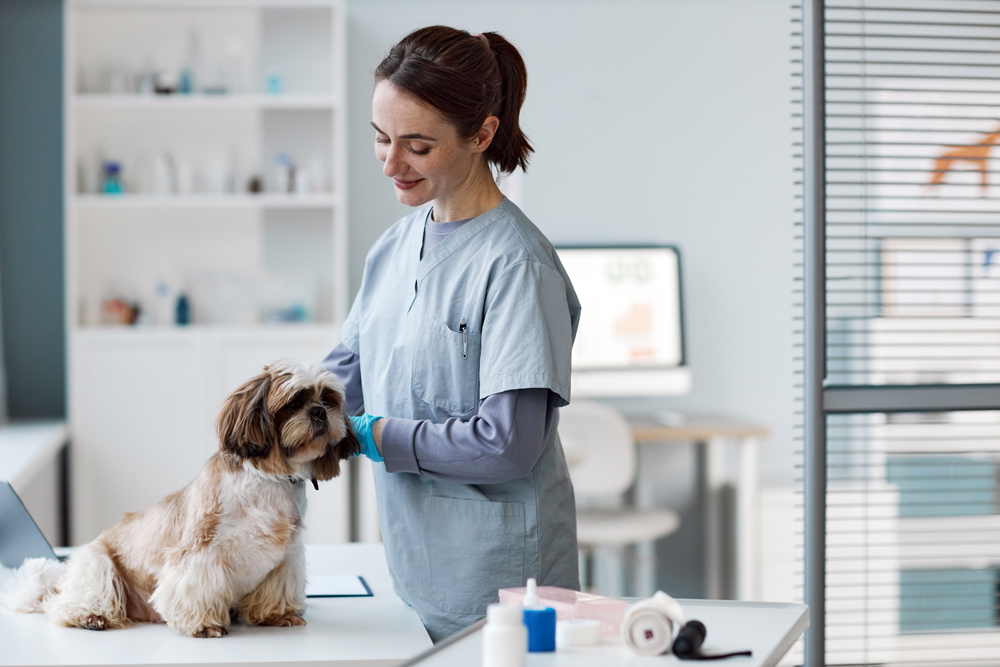Why Important Opportunities Are Found on The VET Recruiter Website