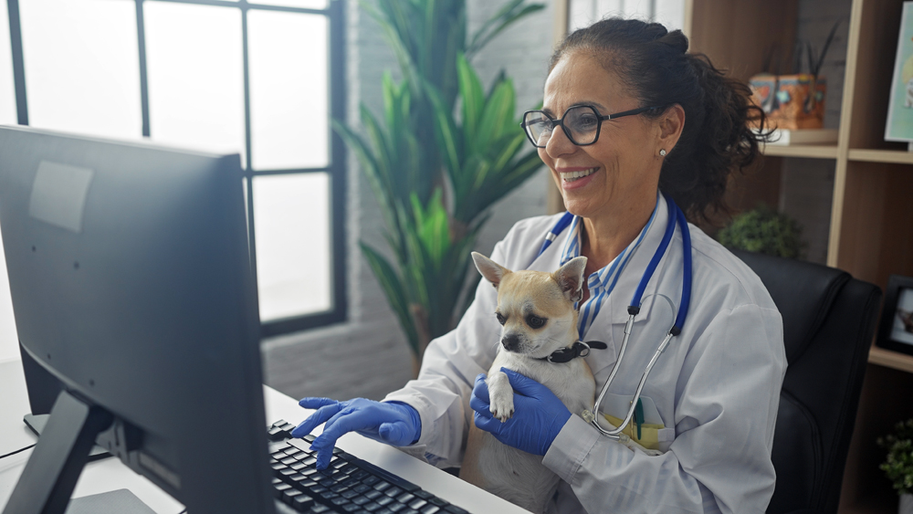 Why Responsiveness is a Priority on The VET Recruiter Website
