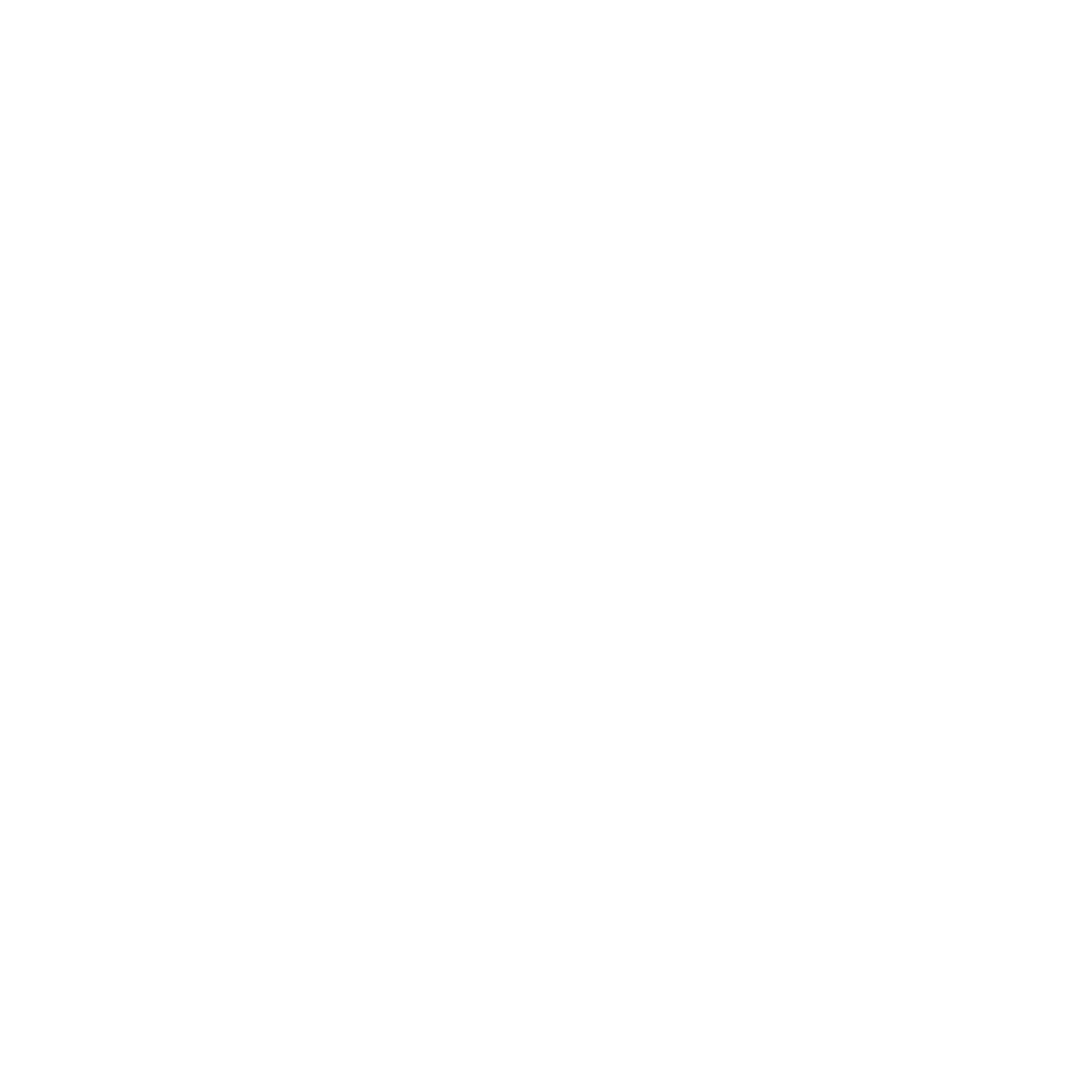 Resume White Icon