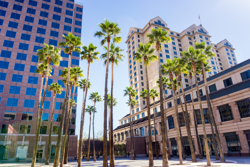 San Francisco Animal Health Recruiters: The VET Recruiter