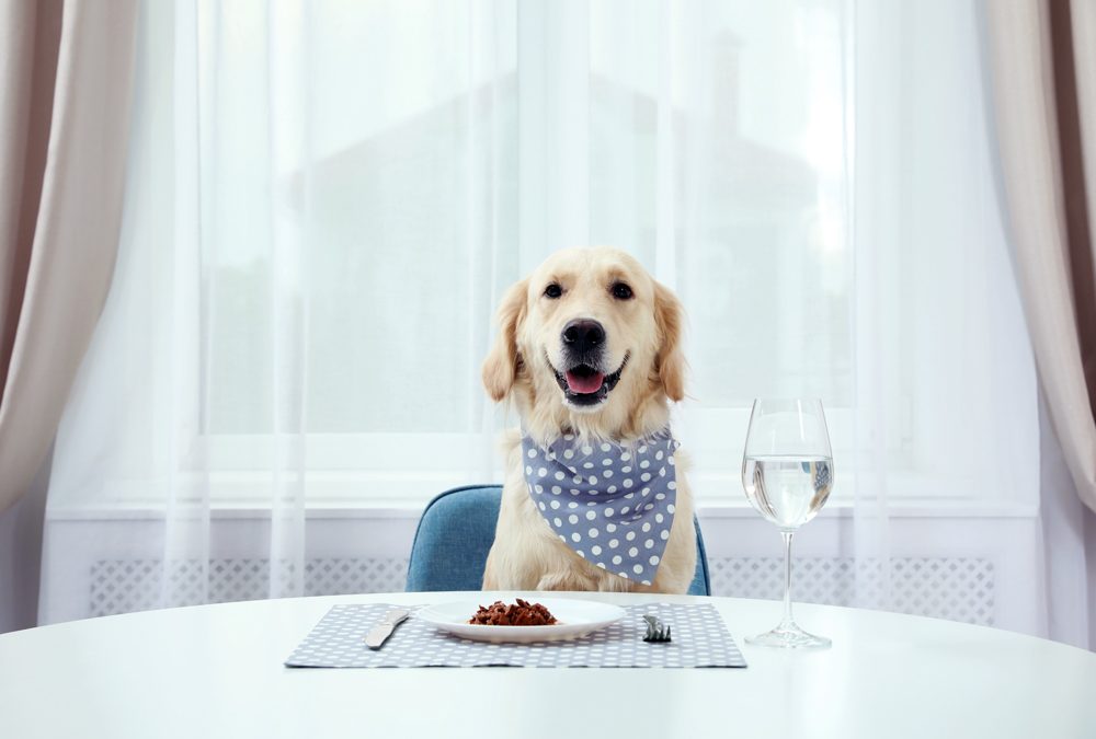 How The VET Recruiter Website Serves Both Employers and Animal Health and Veterinary Professionals