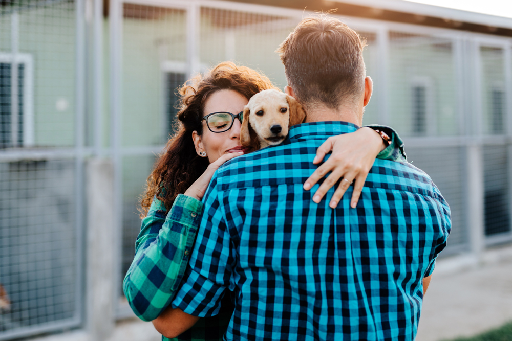 Building a Strong Veterinary Team Through Shelter Medicine Recruitment