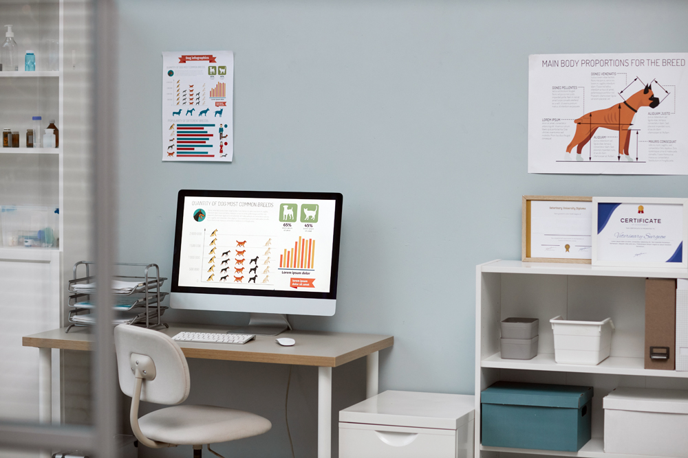 How The VET Recruiter Website Simplifies Career Searches and Hiring in the Veterinary Profession