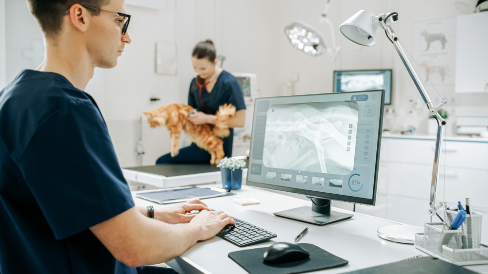 Why The VET Recruiter Website Is the Smart Choice for Veterinary and Animal Health Professionals