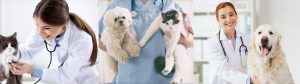 TVR Web Banner 2