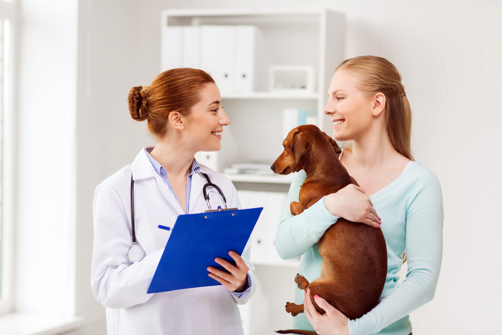Finding the Right Animal Health Fit with The VET Recruiter Website