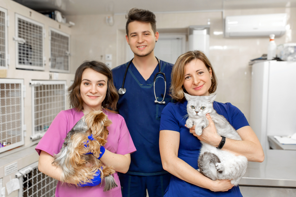 How The VET Recruiter Website Supports Animal Health Professionals and Employers
