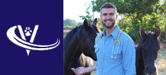Board Veterinary Surgeon (Equine) Interested In Preclinical Surgery or Technical Services