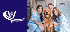 Animal Health Careers Veterinarian Jobs 2022
