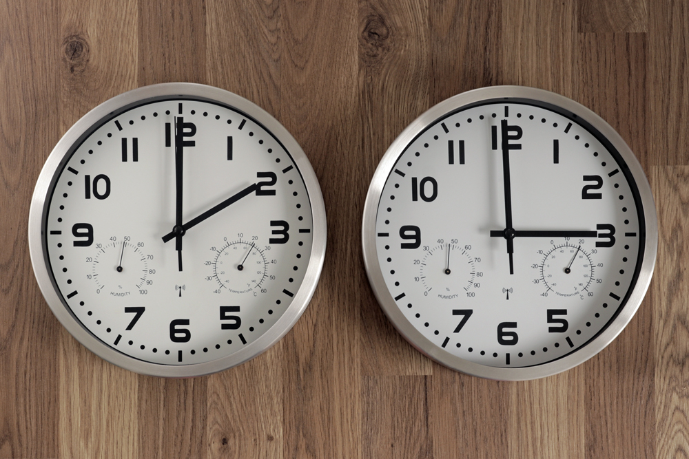 When Is the Best Time to Search for Veterinary and Animal Health Jobs?