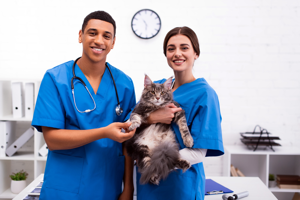 The VET Recruiter Website: Where Animal Health Careers and Top Talent Meet