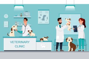 Veterinarian And Doctor With Dog And Cat On Counter In Vet Clini