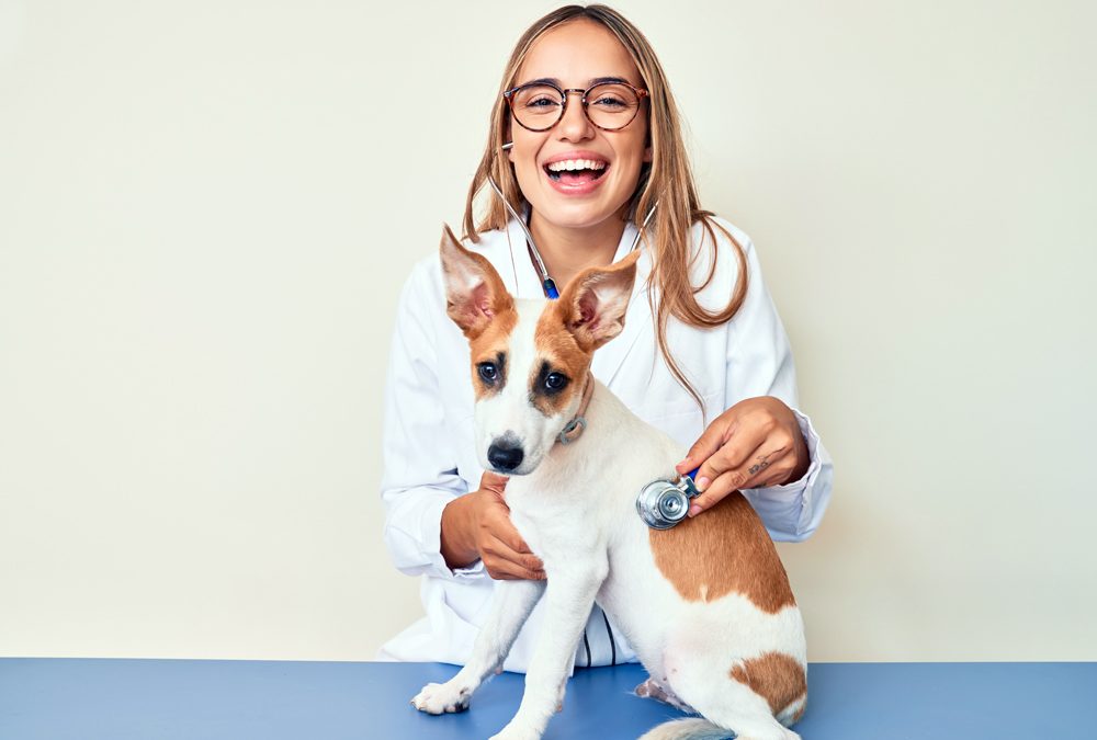 How The VET Recruiter Website Provides Valuable Services