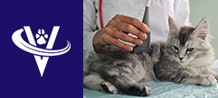 Associate Veterinarian – McCracken County, KY – #10009