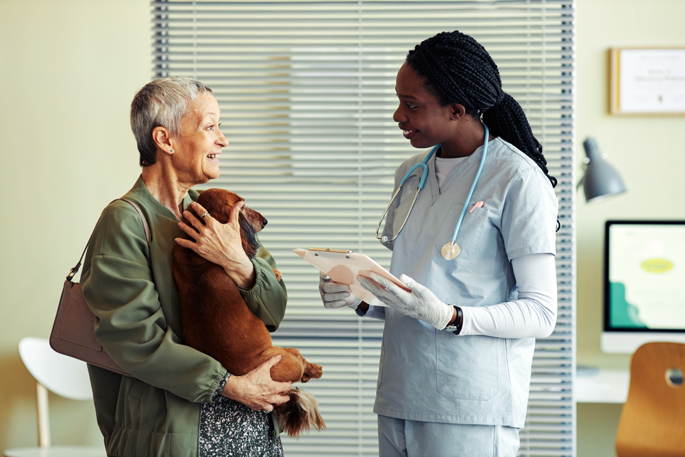 Why Quality is Critical on The VET Recruiter Website for the Animal Health Industry and Veterinary Profession