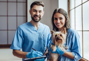 Veterinarian Shortage