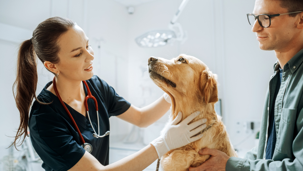 Why Work with The VET Recruiter Website for Animal Health and Veterinary Career Success?