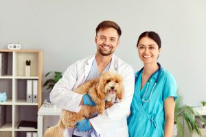 Recruiting and Hiring Veterinarians