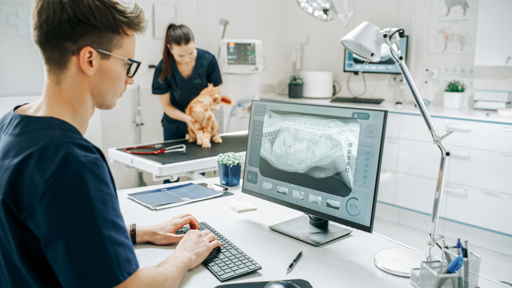 Why The VET Recruiter is the Leading Veterinary Capital Equipment Sales Recruiting Firm
