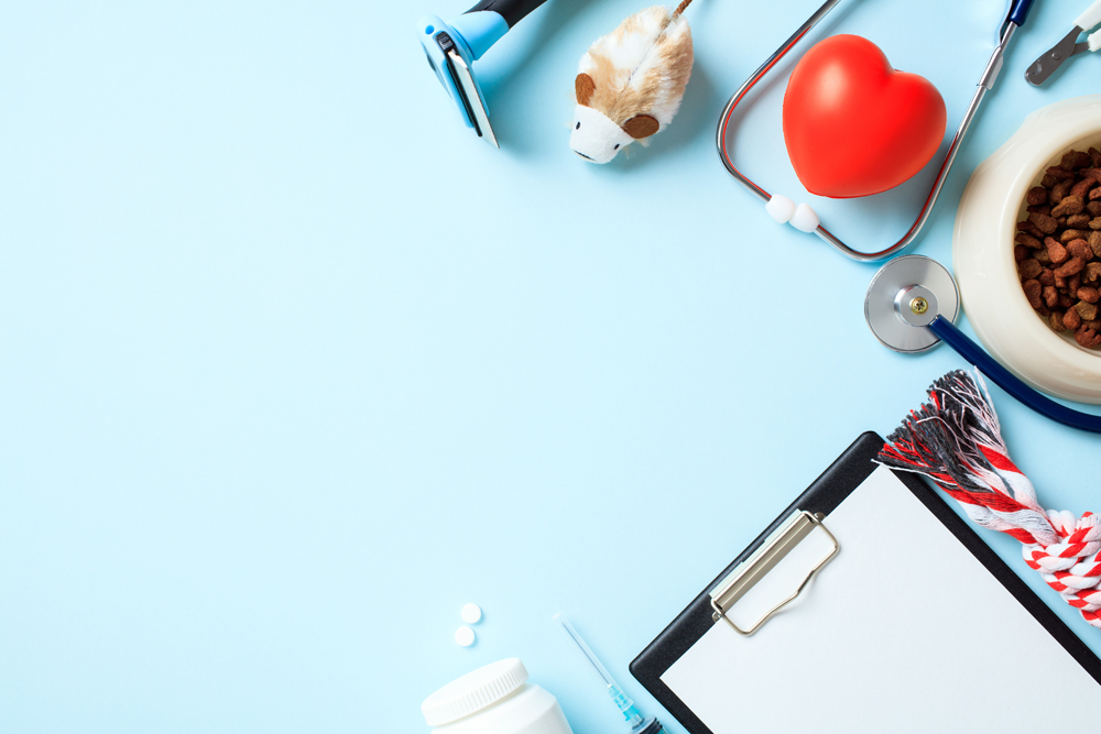 The Critical Role of Agency Recruiters in Veterinary Clinic Recruitment