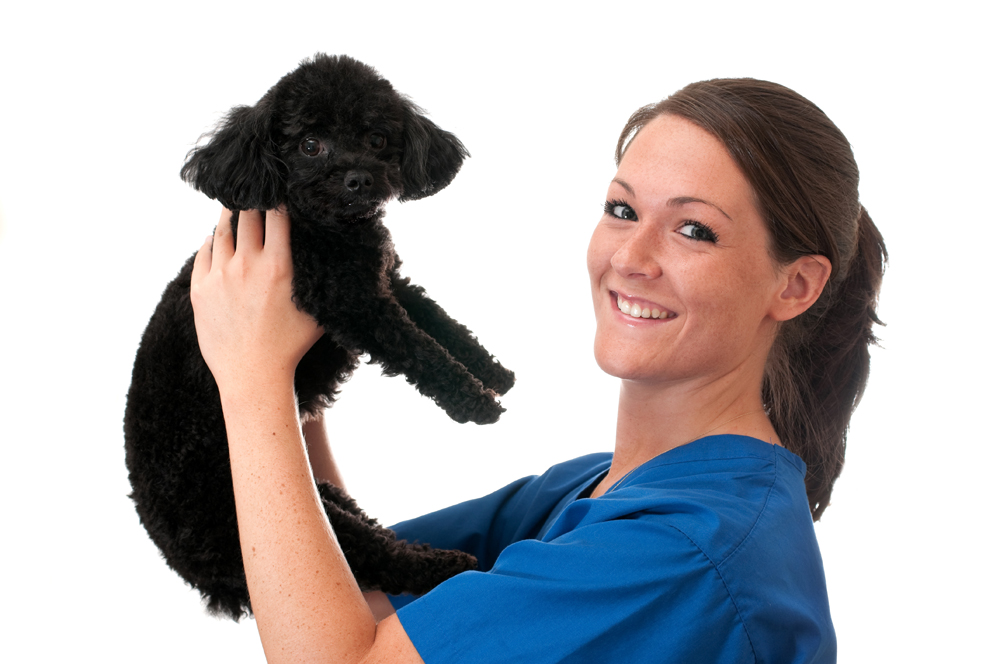 Take Control of Your Veterinary Future with The VET Recruiter Website