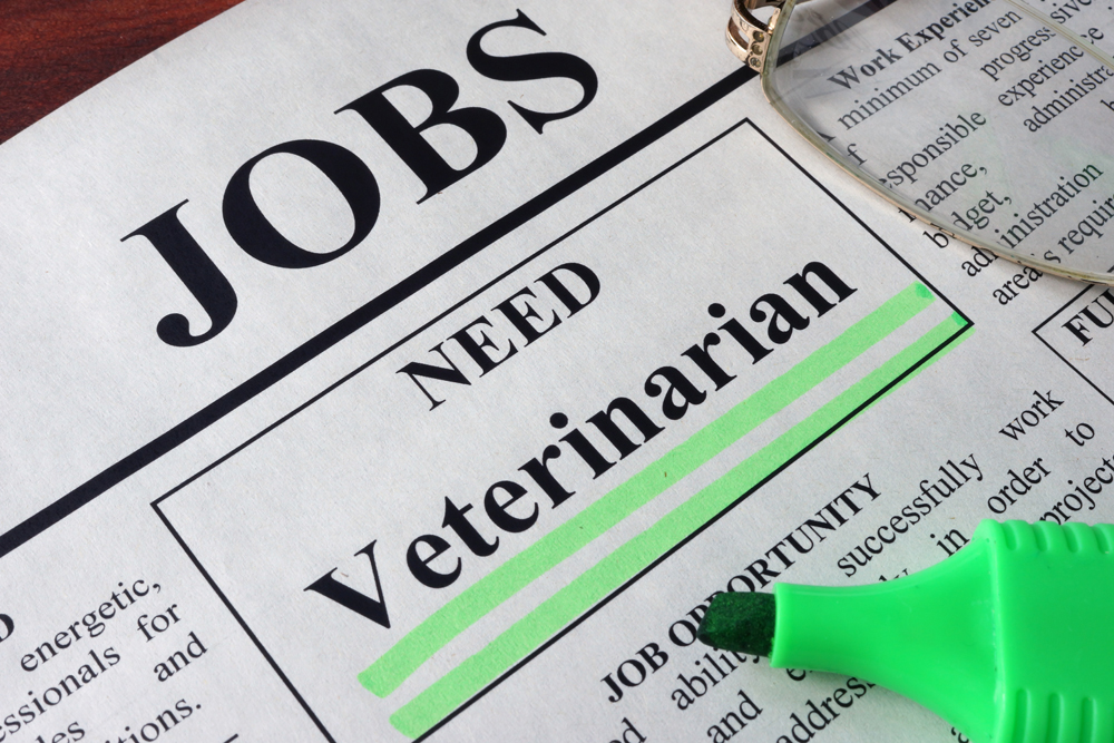 7 Steps for More Effective Animal Health and Veterinary Hiring