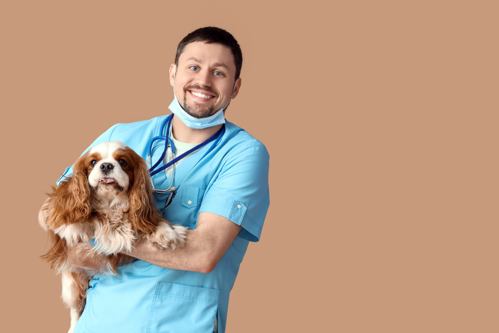 Veterinary Job Openings: The VET Recruiter Executive Search Firm