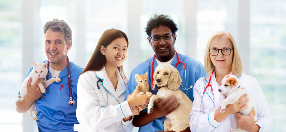 Veterinary Placement: How Agency Recruiters Connect Employers and Professionals