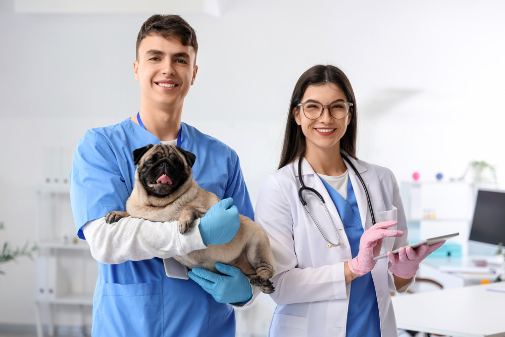 The Shrinking Margin for Error in Animal Health and Veterinary Recruiting in 2027