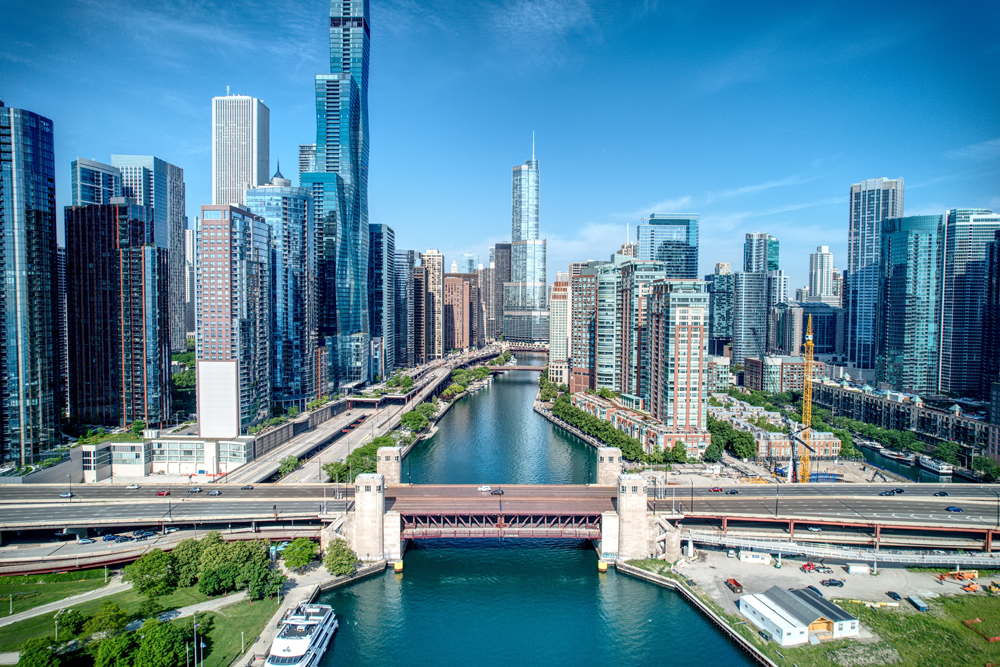 Veterinary Recruiting in Chicago: Challenges and Opportunities