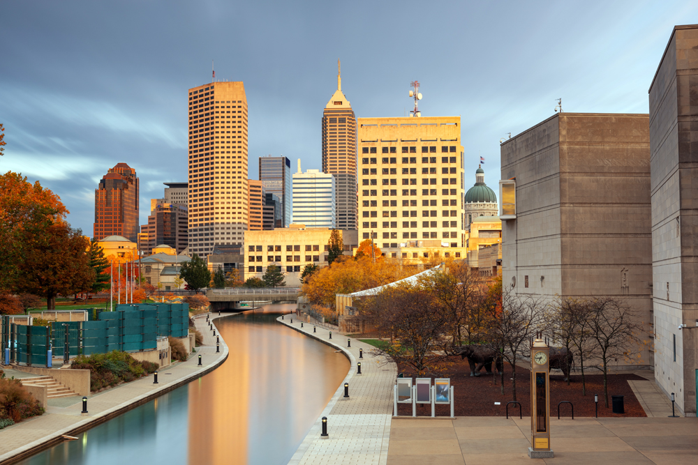 Veterinary Recruiting in Indianapolis and How The VET Recruiter Helps