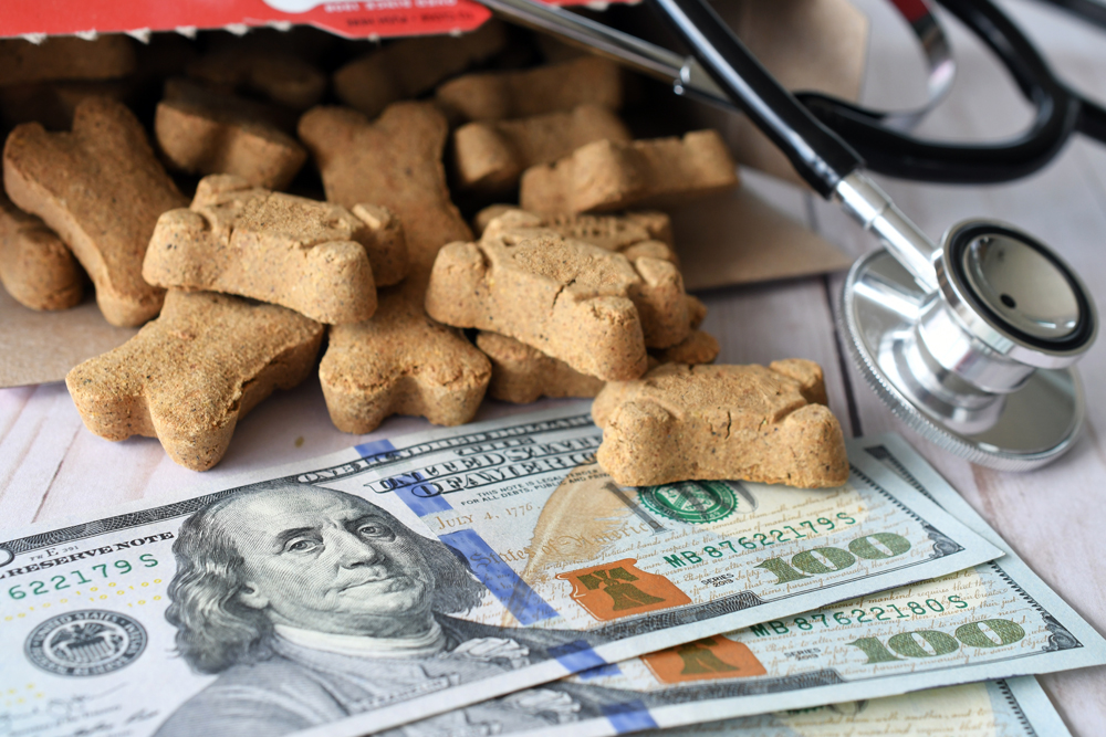 Why The VET Recruiter Website Works Well for Animal Health and Veterinary Professionals and Employers