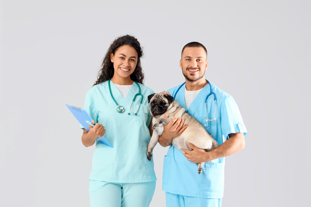How Long Does It Take to Find a New Veterinary or Animal Health Opportunity?