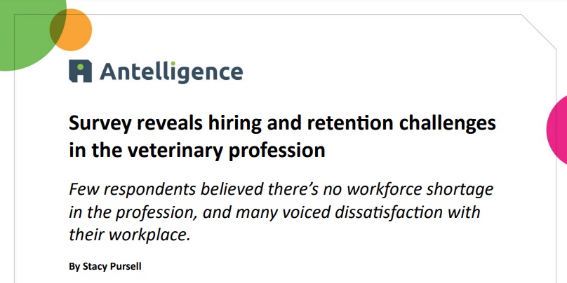 Antelligence Survey Reveals Hiring And Retenion Challenges In The Veterinary Profession