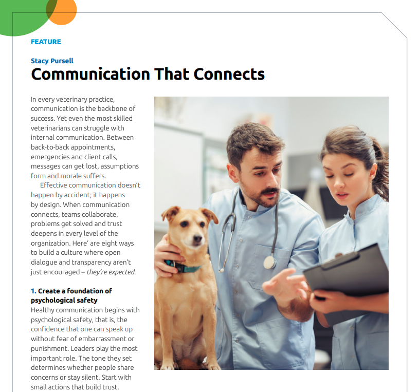 Communication That Conencts Article