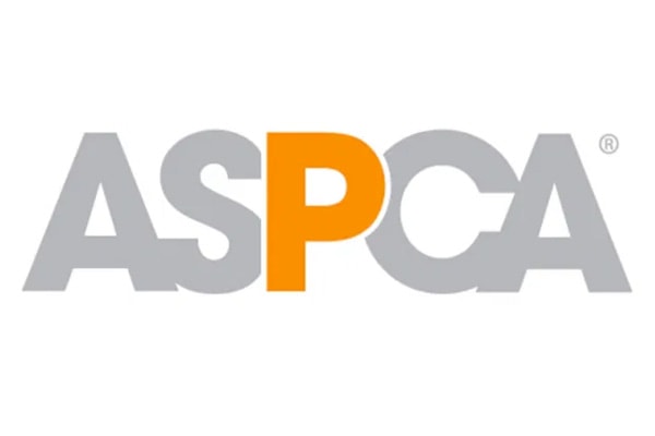 Executive Search Aspca Logo