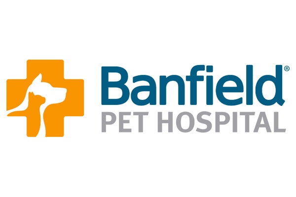 Executive Search Banfield Logo