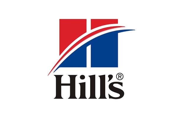 Executive Search Hills Logo